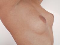 Met-art.com Picture Gallery Presents: July Saint