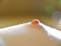 Adorable Tight Girl Emily Grey Sits On A Ginormous Toy And Makes Her Sweet Cooch Stretch