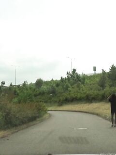 Niki Sweet - Stranded Teens