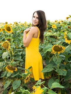 Gorgeous Babe Semmi A Removes Her Yellow Dress Outside In The Sunflowers
